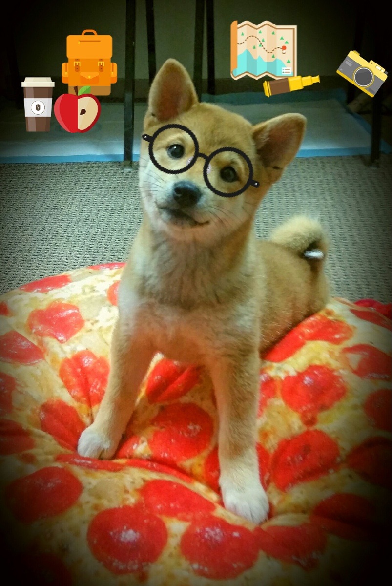 末节风暴!伦纳德化身关键先生,北京队逆转带走黄蜂