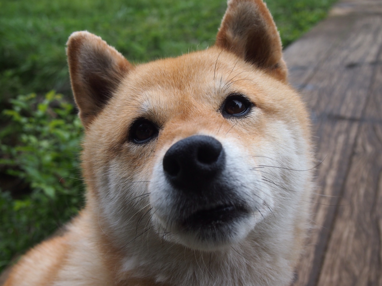 巴黎之夜，华灯只照明星；硬仗之王，暗处劈开荆棘