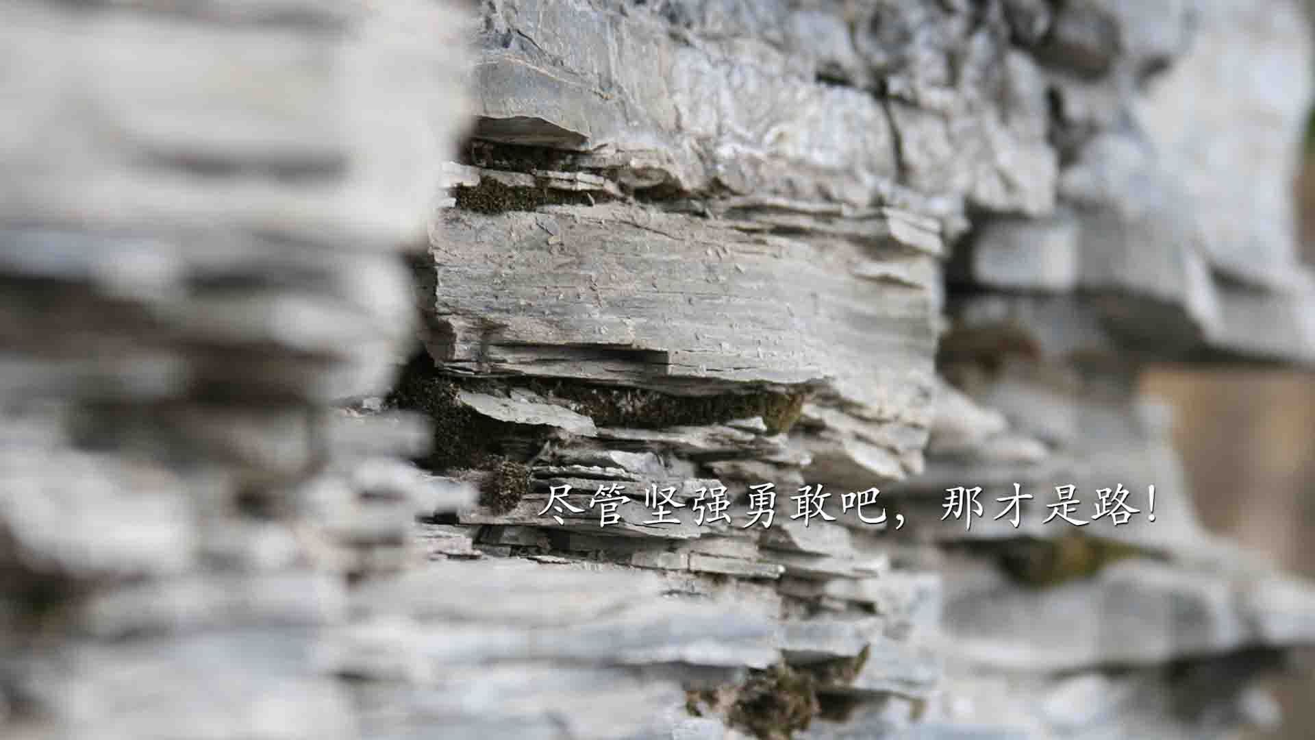 黄金城下蓝军新核觉醒,当坎特的爆发成为精密战术的最后一块拼图