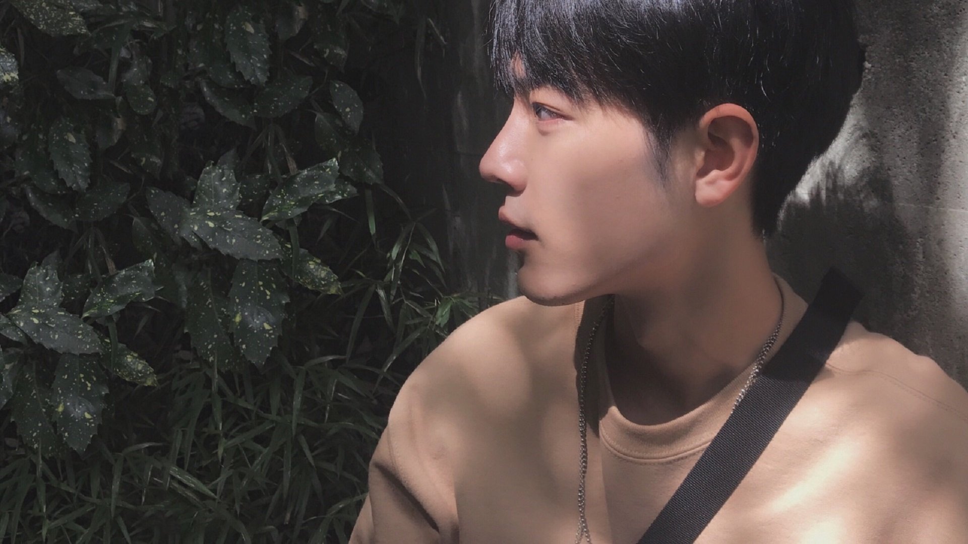 逆转双重奏，塔图姆败中证名与特雷·杨胜中定音的巨星启示录