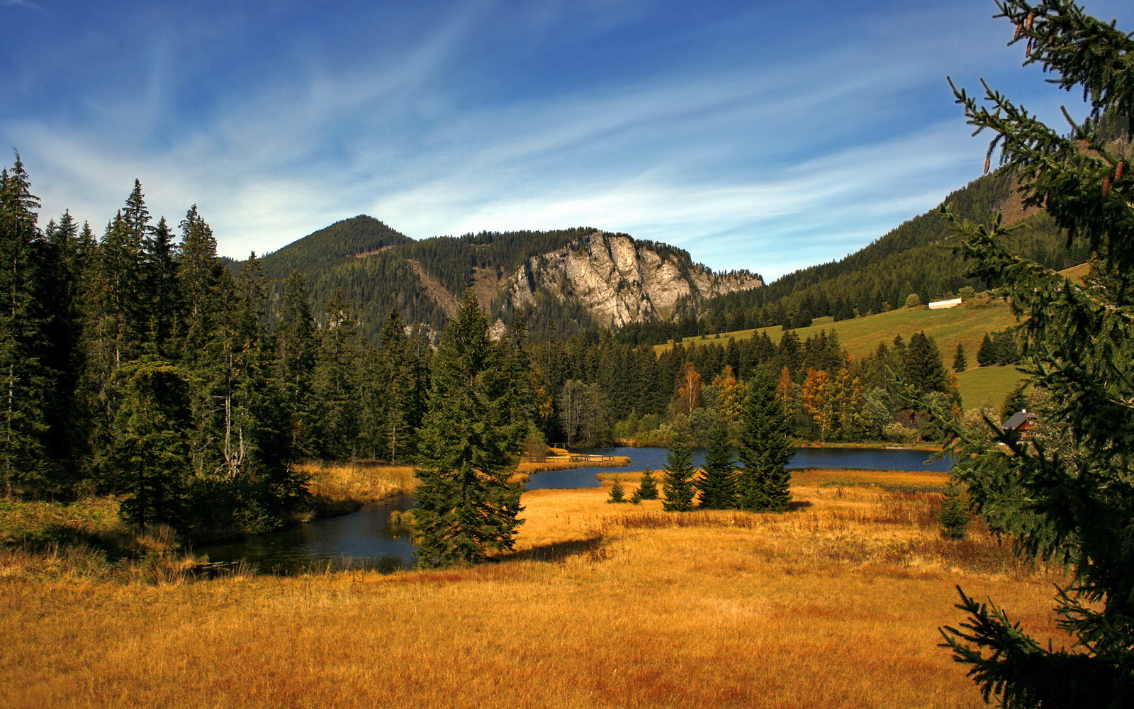 开云体育-双洲竞技场上的王者之风，湖人淘汰76人晋级，布伦森西甲德比主宰赛场