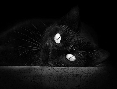 西甲国家德比之夜，斯通斯如精工匠人，为古典交响定下现代重音